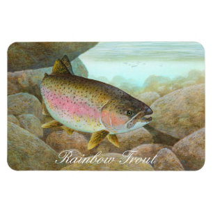 Regenbogenforelle-Malerei Magnet