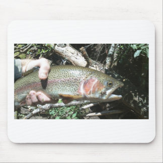 Regenbogenforelle Mousepad