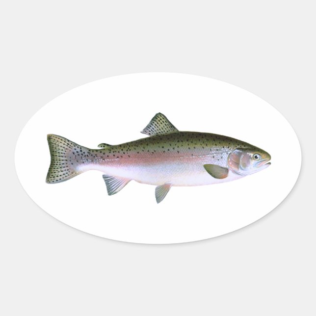 Regenbogenforelle Ovaler Aufkleber (Vorderseite)
