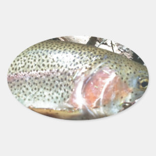 Regenbogenforelle Ovaler Aufkleber