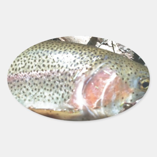 Regenbogenforelle Ovaler Aufkleber (Vorderseite)