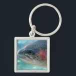 Regenbogenforelle Schlüsselanhänger<br><div class="desc">Kennzeichnet ein Nahaufnahme-Foto einer Regenbogenforelle (manchmal genannt eine Lachsforelle) durch ein Betrachtungsfenster am Bonneville-Fisch-Brutplatz in Oregon. Regenbogenforelle sind die gleichen Spezies,  wie Stahlkopf,  der Unterschied,  der dieser Stahlkopf ist-,  einen Seelauf haben und zu den Fischeiern in Frischwasser nach 2-3 Jahren in Meer zurückgehen.</div>