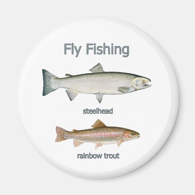 Regenbogenforelle - Steelhead Magnet (Vorne)