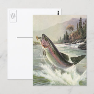 Regenbogenforelle, Vintage-Angler fischt nach Fisc Postkarte