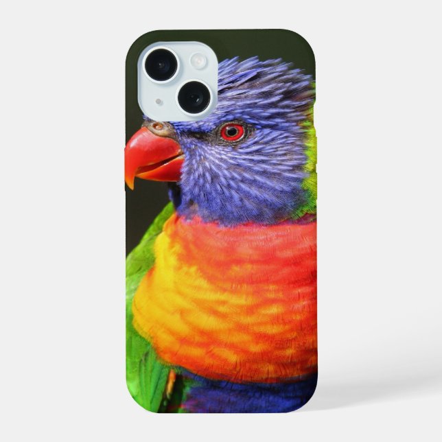 Regenbogenlori iPhone 15 Hülle (Rückseite)