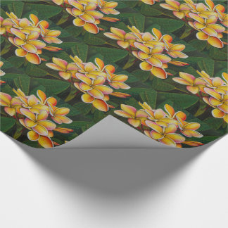 RegenbogenPlumeria Geschenkpapier
