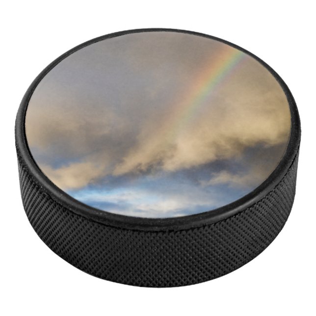 Regenbogenrebellion Eishockey Puck (3/4)