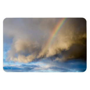 Regenbogenrebellion Magnet