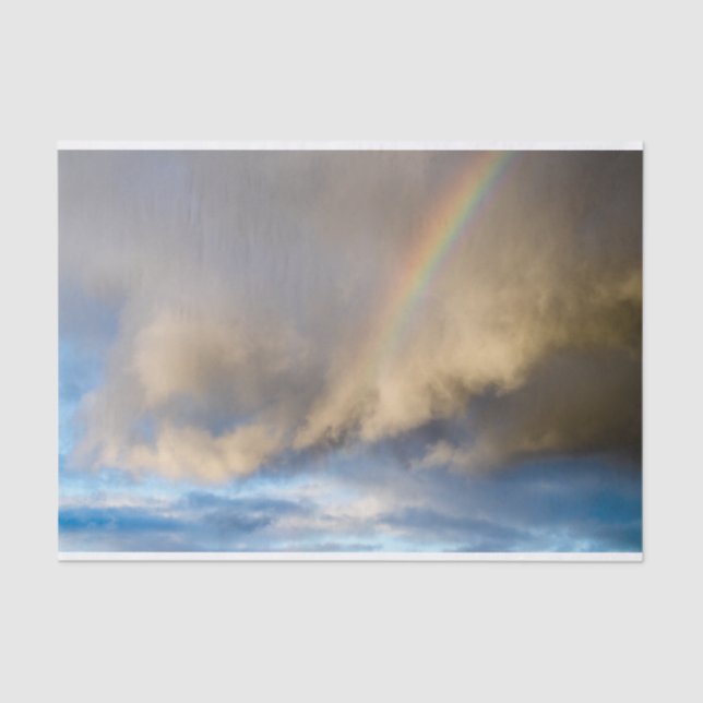 Regenbogenrebellion Seidenpapier (Vorderseite)