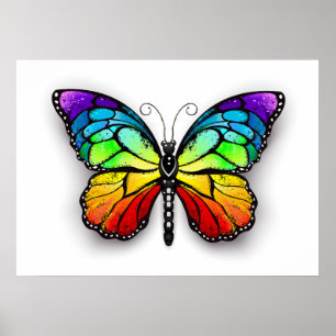 Regenbogenschmetterling Monarch Poster
