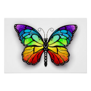 Regenbogenschmetterling Monarch Poster