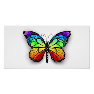 Regenbogenschmetterling Monarch Poster