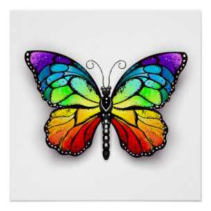 Regenbogenschmetterling Monarch Poster