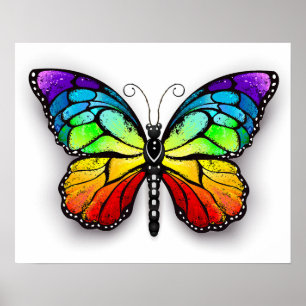 Regenbogenschmetterling Monarch Poster