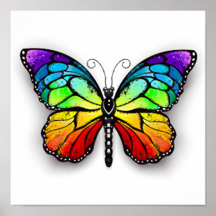 Regenbogenschmetterling Monarch Poster