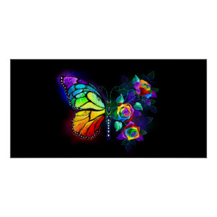 Regenbogenschmetterling Poster