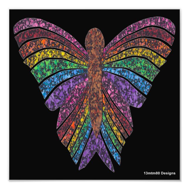 Regenbogenschmetterling (schwarz) - Foto Print (Vorne)
