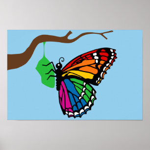 Regenbogenschmetterlinge aus Chrysalis Poster