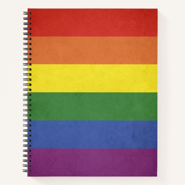 Regenbogenstreifen Notizbuch (Vorderseite)