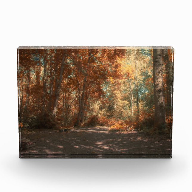 Regenbogenwald Fotoblock (Vorderseite)