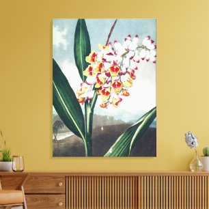 Regency-Stil Weiß Gelbe Exotische Blumen Dekor Leinwanddruck