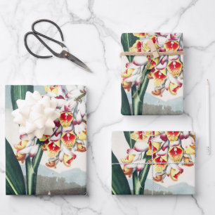 Regency-Stil Weiße Gelbe Exotische Blumen Dekor Geschenkpapier Set