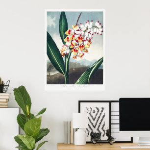 Regency-Stil Weiße Gelbe Exotische Blumendekoratio Poster
