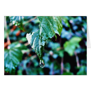 Regenfall