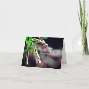 Regenfälle auf der linken Seite des Denkens auf de Karte