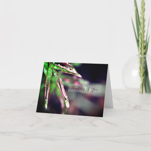 Regenfälle auf der linken Seite des Denkens auf de Karte (Vorderseite)