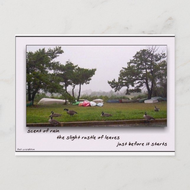 Regenfälle Postkarte (Vorderseite)