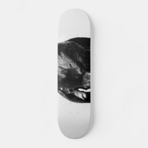 Regenhund Skateboard