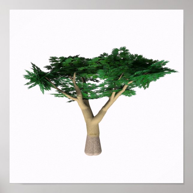 Regenschirm Acacia Tree Poster (Vorne)