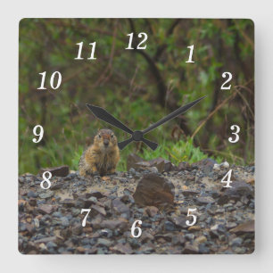 Regenschirm bitte Uhr