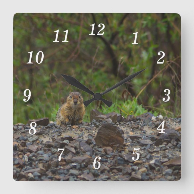 Regenschirm bitte Uhr (Vorderseite)