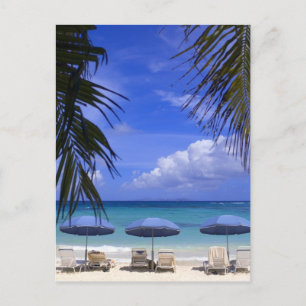 Regenschirme am Strand, St. Maarten, Karibik Postkarte