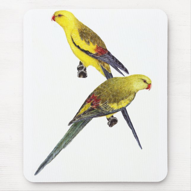 Regent Parrot Pair - Polytelis anthopeplus Mousepad (Vorne)