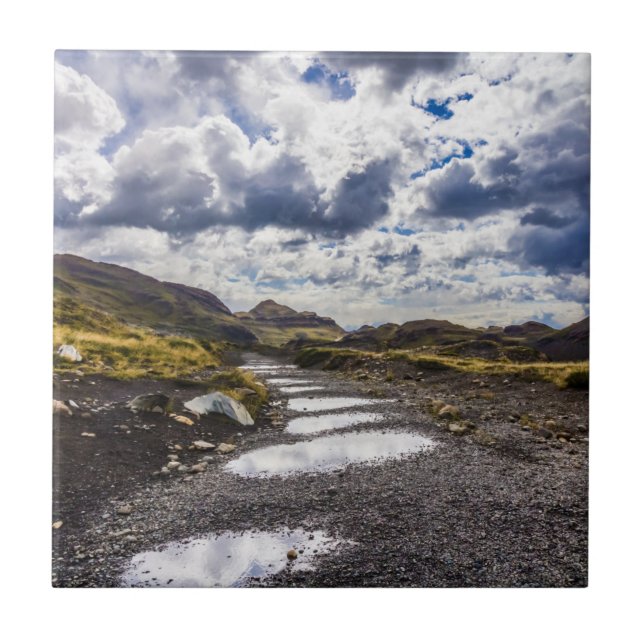 Regentag in Torres del Paine NP Fliese (Vorderseite)