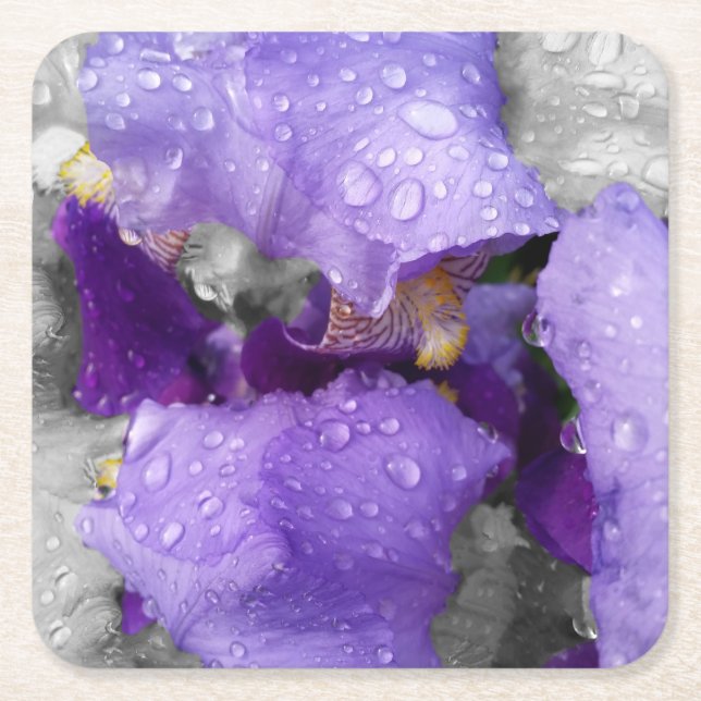 Regentropfen an Iris Rechteckiger Pappuntersetzer (Vorderseite)