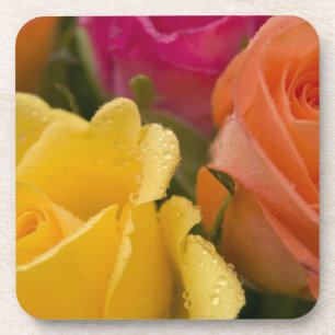 Regentropfen auf den gelb-orangeen und rosa Rosen Getränkeuntersetzer