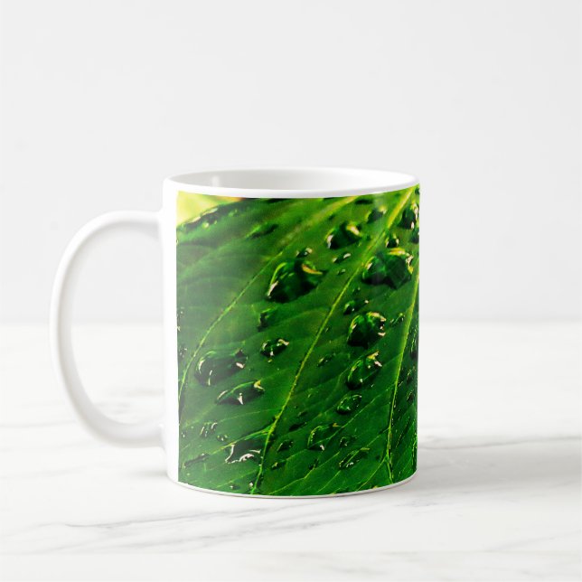 Regentropfen auf einem Blatt Kaffeetasse (Links)