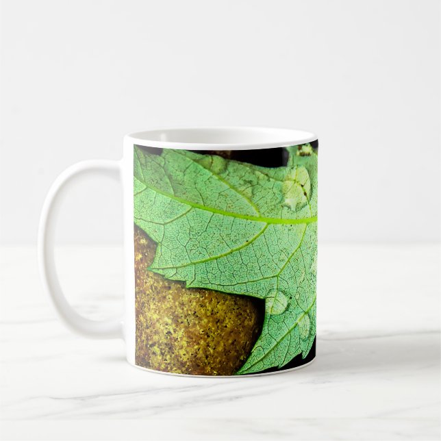 Regentropfen auf einem Blatt Kaffeetasse (Links)
