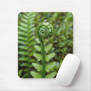 Regentropfen auf entfalteter Farn Mousepad