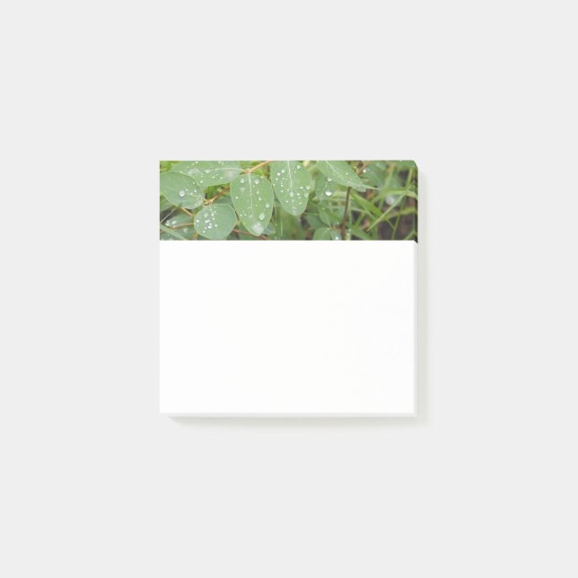 Regentropfen auf grünen Blättern Post-It Notes Klebezettel (Vorderseite)