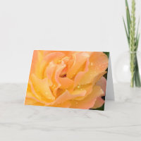 Regentropfen auf leerer Karte der Rosen