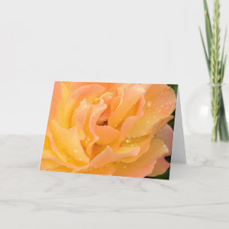 Regentropfen auf leerer Karte der Rosen