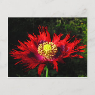 Regentropfen Postkarte