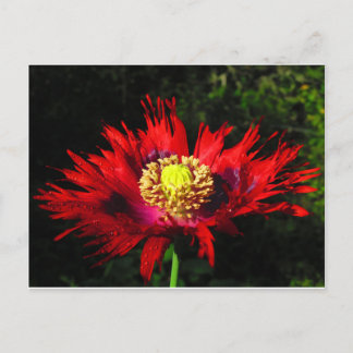 Regentropfen Postkarte