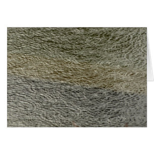 Regentropfen-Ripple Abstrakte Naturfotografie