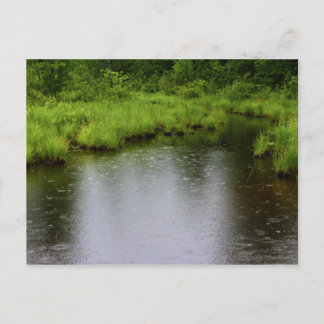 Regentropfen-Sommer 2016 Postkarte